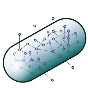 General Computational Model Development and Validation